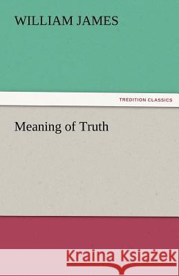 Meaning of Truth  9783842427761 tredition GmbH