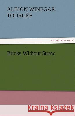 Bricks Without Straw Albion Winegar Tourgee   9783842460829