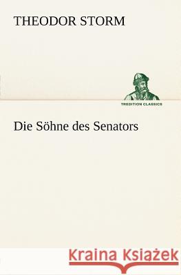 Die Söhne des Senators Storm, Theodor 9783842470934 TREDITION CLASSICS