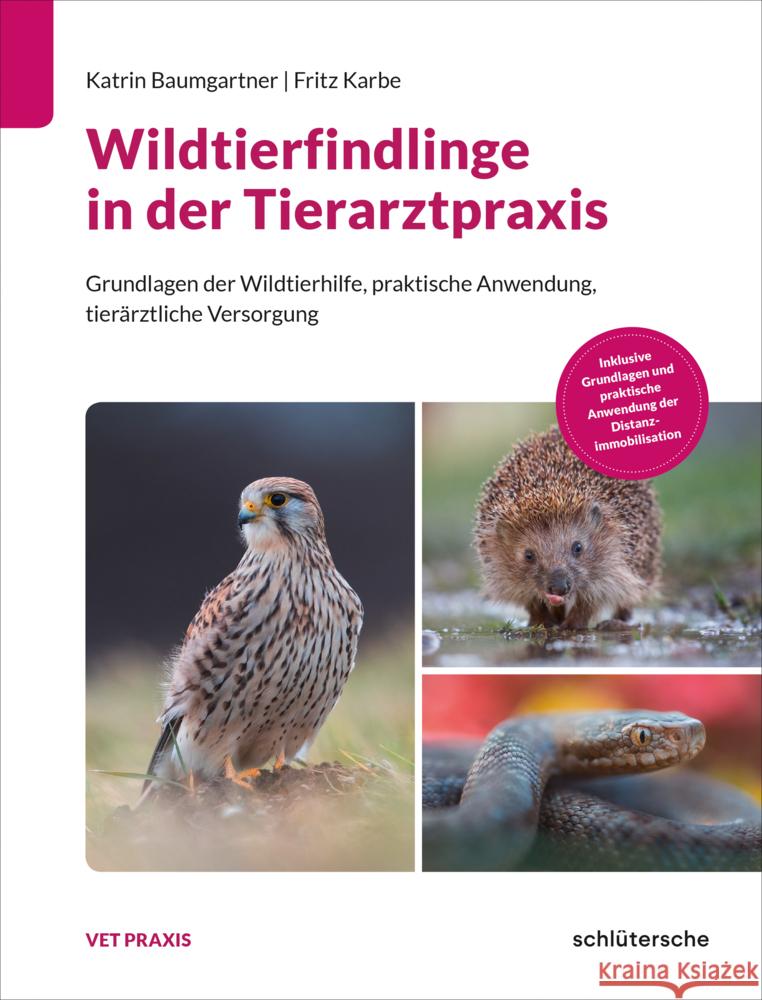Wildtierfindlinge in der Tierarztpraxis Baumgartner, Katrin, Karbe, Fritz 9783842600768 Schlütersche
