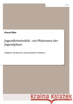 Jugendkriminalität - ein Phänomen der Jugendphase.: Mögliche Reaktionen auf kriminelles Verhalten Eßer, Pascal 9783842873063 Diplom.de