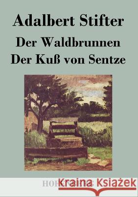 Der Waldbrunnen / Der Kuß von Sentze Adalbert Stifter 9783843017916