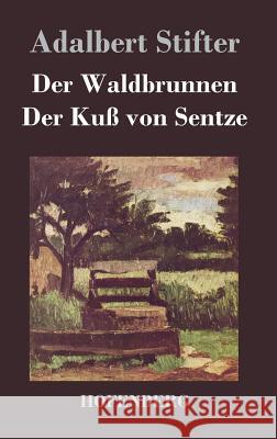 Der Waldbrunnen / Der Kuß von Sentze Adalbert Stifter 9783843017923 Hofenberg