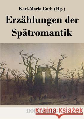Erzählungen der Spätromantik Karl-Maria Guth 9783843018807 Hofenberg
