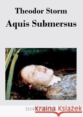 Aquis Submersus: Novelle Storm, Theodor 9783843023818 Hofenberg