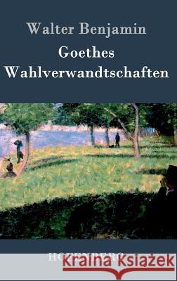 Goethes Wahlverwandtschaften Walter Benjamin 9783843025966 Hofenberg