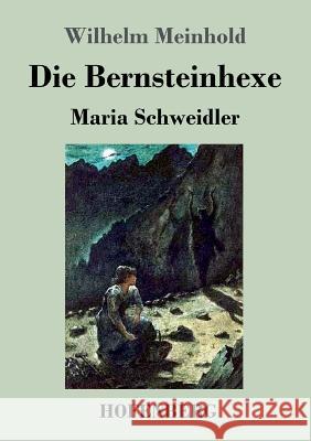 Die Bernsteinhexe Wilhelm Meinhold   9783843027892 Hofenberg