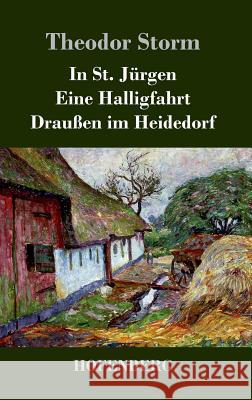 In St. Jürgen / Eine Halligfahrt / Draußen im Heidedorf Theodor Storm 9783843042345 Hofenberg