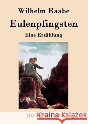 Eulenpfingsten: Eine Erzählung Wilhelm Raabe 9783843045216 Hofenberg