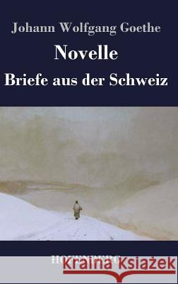 Novelle / Briefe aus der Schweiz Johann Wolfgang Goethe 9783843048330 Hofenberg