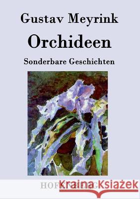 Orchideen: Sonderbare Geschichten Meyrink, Gustav 9783843073561 Hofenberg