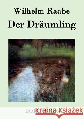 Der Dräumling Wilhelm Raabe 9783843074285 Hofenberg