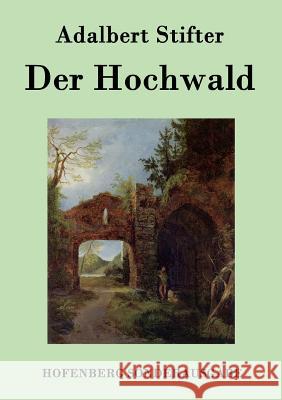 Der Hochwald Adalbert Stifter   9783843076395 Hofenberg