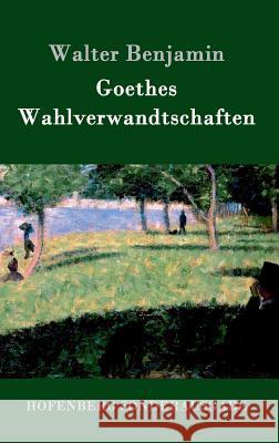 Goethes Wahlverwandtschaften Consultant Statistician Walter Benjamin (Columbia University) 9783843084246