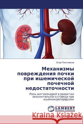 Mekhanizmy Povrezhdeniya Pochki Pri Ishemicheskoy Pochechnoy Nedostatochnosti Plotnikov Egor 9783843301381 LAP Lambert Academic Publishing