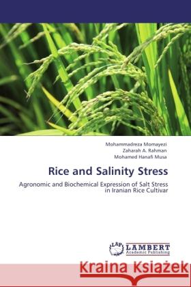 Rice and Salinity Stress Momayezi, Mohammadreza, Rahman, Zaharah A., Musa, Mohamed Hanafi 9783843320726 LAP Lambert Academic Publishing