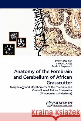 Anatomy of the Forebrain and Cerebellum of African Grasscutter  9783843351553 LAP Lambert Academic Publishing AG & Co KG
