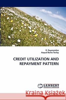 Credit Utilization and Repayment Pattern  9783843357678 LAP Lambert Academic Publishing AG & Co KG