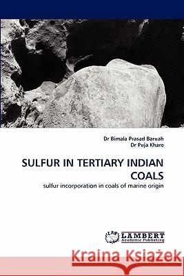 Sulfur in Tertiary Indian Coals  9783843364416 LAP Lambert Academic Publishing AG & Co KG