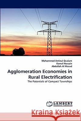 Agglomeration Economies in Rural Electrification  9783843364584 LAP Lambert Academic Publishing AG & Co KG