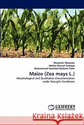 Maize (Zea mays L.) Manzoor, Mubashir 9783843370141