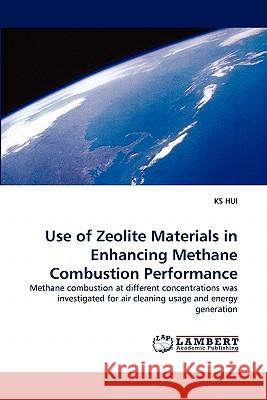 Use of Zeolite Materials in Enhancing Methane Combustion Performance  9783843391313 LAP Lambert Academic Publishing AG & Co KG