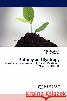 Entropy and Syntropy  9783843392730 LAP Lambert Academic Publishing AG & Co KG