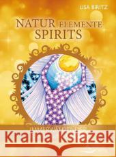 Natur, Elemente, Spirits : Immerwährender schamanischer Kalender Biritz, Lisa 9783843411837 Schirner
