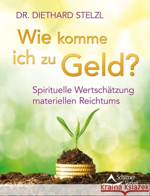 Wie komme ich zu Geld? : Spirituelle Wertschätzung materiellen Reichtums Stelzl, Diethard 9783843412049 Schirner