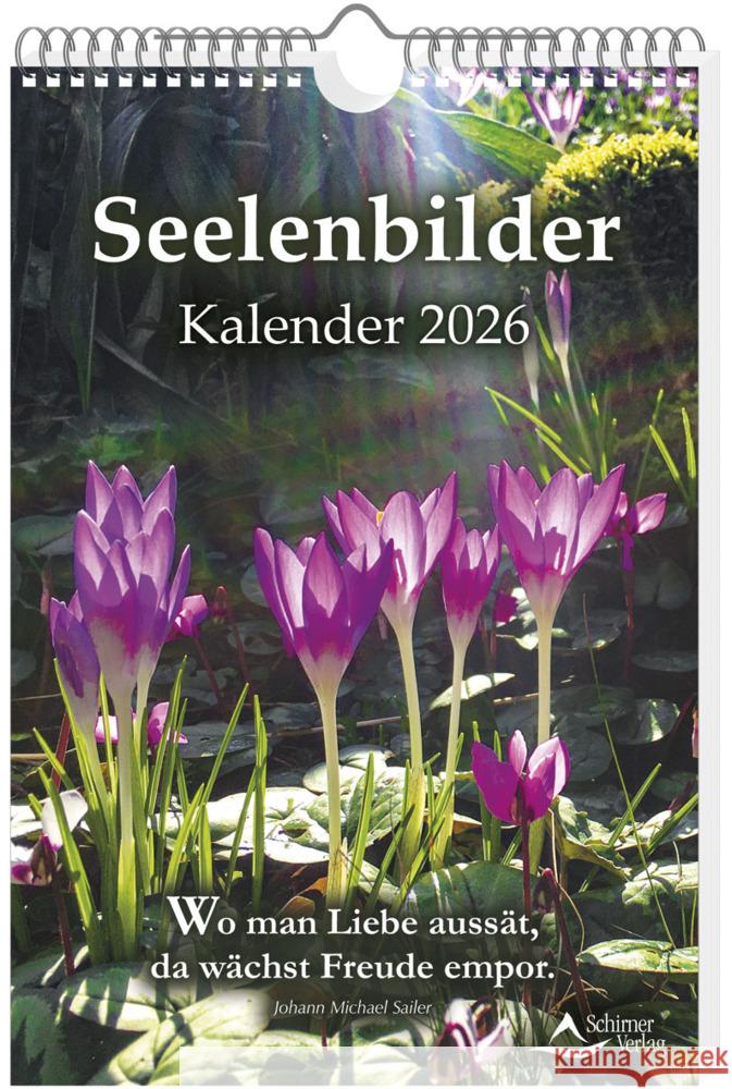 Seelenbilder-Kalender 2026 Schirner, Markus 9783843499668 Schirner