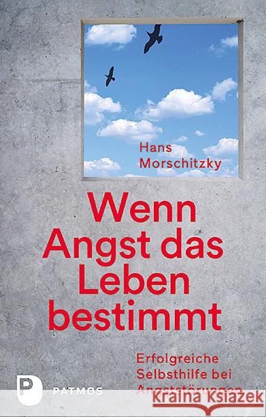 Wenn Angst das Leben bestimmt : Erfolgreiche Selbsthilfe bei Angststörungen Morschitzky, Hans 9783843611893