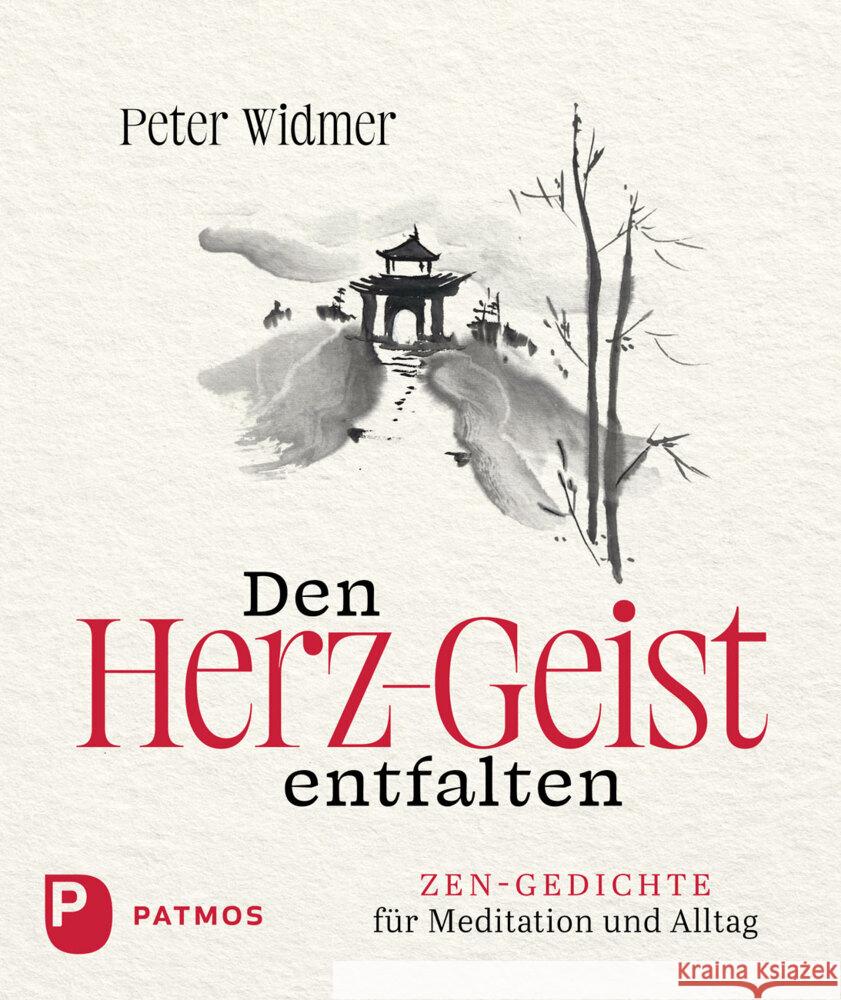 Den Herz-Geist entfalten Widmer, Peter 9783843615921