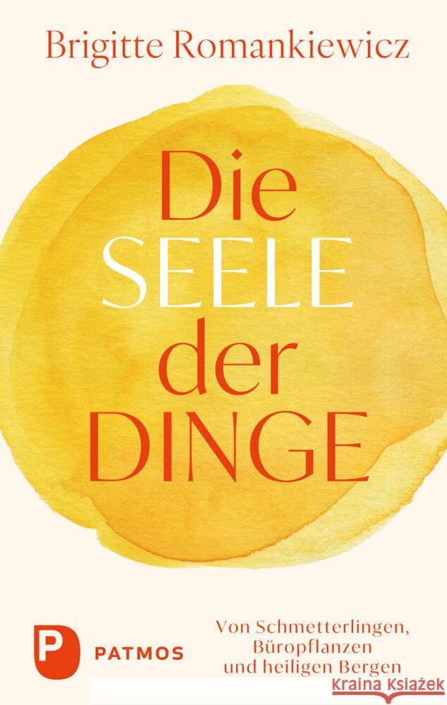 Die Seele der Dinge Romankiewicz, Brigitte 9783843616263