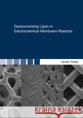 Depolymerizing Lignin in Electrochemical Membrane Reactors Serafin Stiefel 9783844054217 Shaker Verlag GmbH, Germany