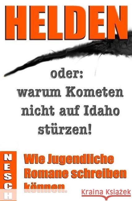 Helden : oder: warum Kometen nicht auf Idaho stürzen! Nesch, Thorsten 9783844212730