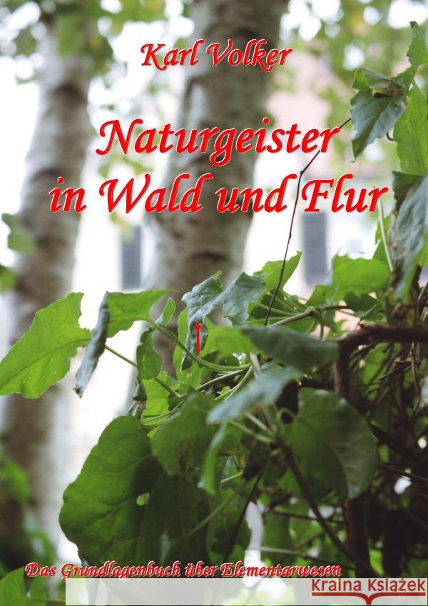 Naturgeister in Wald und Flur Volker, Karl 9783844243864