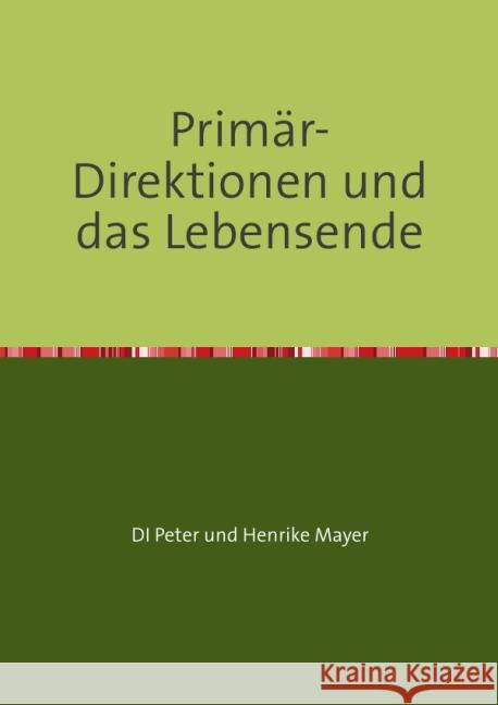 Primär-Direktionen und das Lebensende Mayer, Henrike 9783844251708