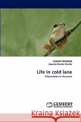 Life in Cold Lane  9783844303001 LAP Lambert Academic Publishing AG & Co KG