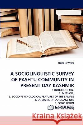 A Sociolinguistic Survey of Pashtu Community in Present Day Kashmir Neelofar Wani 9783844324044