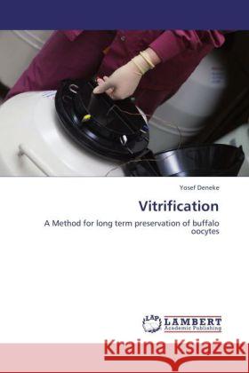 Vitrification Deneke, Yosef 9783844331646 LAP Lambert Academic Publishing