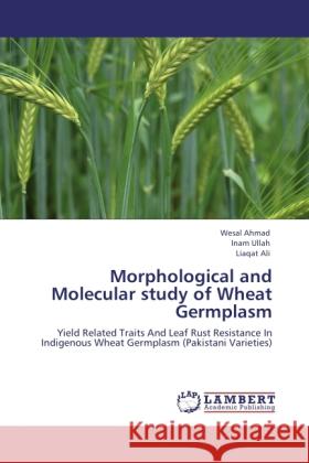 Morphological and Molecular study of Wheat Germplasm : Yield Related Traits And Leaf Rust Resistance In Indigenous Wheat Germplasm (Pakistani Varieties) Ahmad, Wesal; Ullah, Inam; Ali, Liaqat 9783844332445 LAP Lambert Academic Publishing