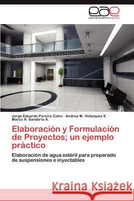 Elaboracion y Formulacion de Proyectos; Un Ejemplo Practico  9783844335194 Editorial Acad Mica Espa Ola