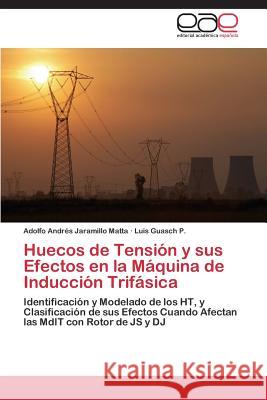 Huecos de Tensión y sus Efectos en la Máquina de Inducción Trifásica Jaramillo Matta Adolfo Andrés 9783844343182
