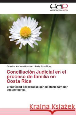 Conciliacion Judicial En El Proceso de Familia En Costa Rica Morales Gonzalez Guisella 9783844346749 Editorial Academica Espanola