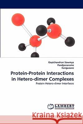 Protein-Protein Interactions in Hetero-dimer Complexes Sowmya, Gopichandran 9783844385465