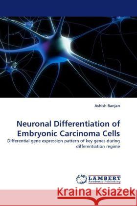 Neuronal Differentiation of Embryonic Carcinoma Cells Ranjan, Ashish 9783844390360