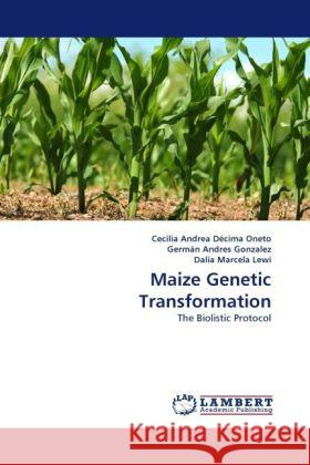 Maize Genetic Transformation Décima Oneto, Cecilia Andrea, Andres Gonzalez, Germán, Marcela Lewi, Dalia 9783844397215