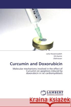 Curcumin and Doxorubicin Hosseinzadeh, Leila, Gh.Karimi, ., J.Behravan, . 9783844399219 Dictus Publishing
