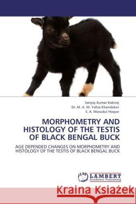 Morphometry and Histology of the Testis of Black Bengal Buck Sanjoy Kumar Kabiraj, Dr M a M Yahia Khandoker, S A Masudul Hoque 9783844399530