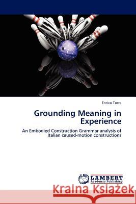 Grounding Meaning in Experience Enrico Torre 9783845412559